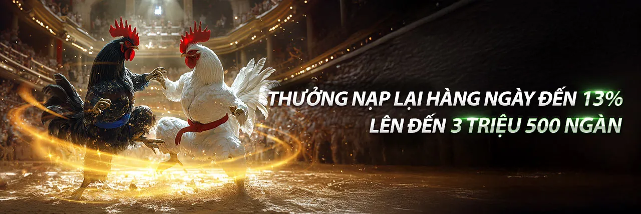 Chương Trình VIP raybet casino